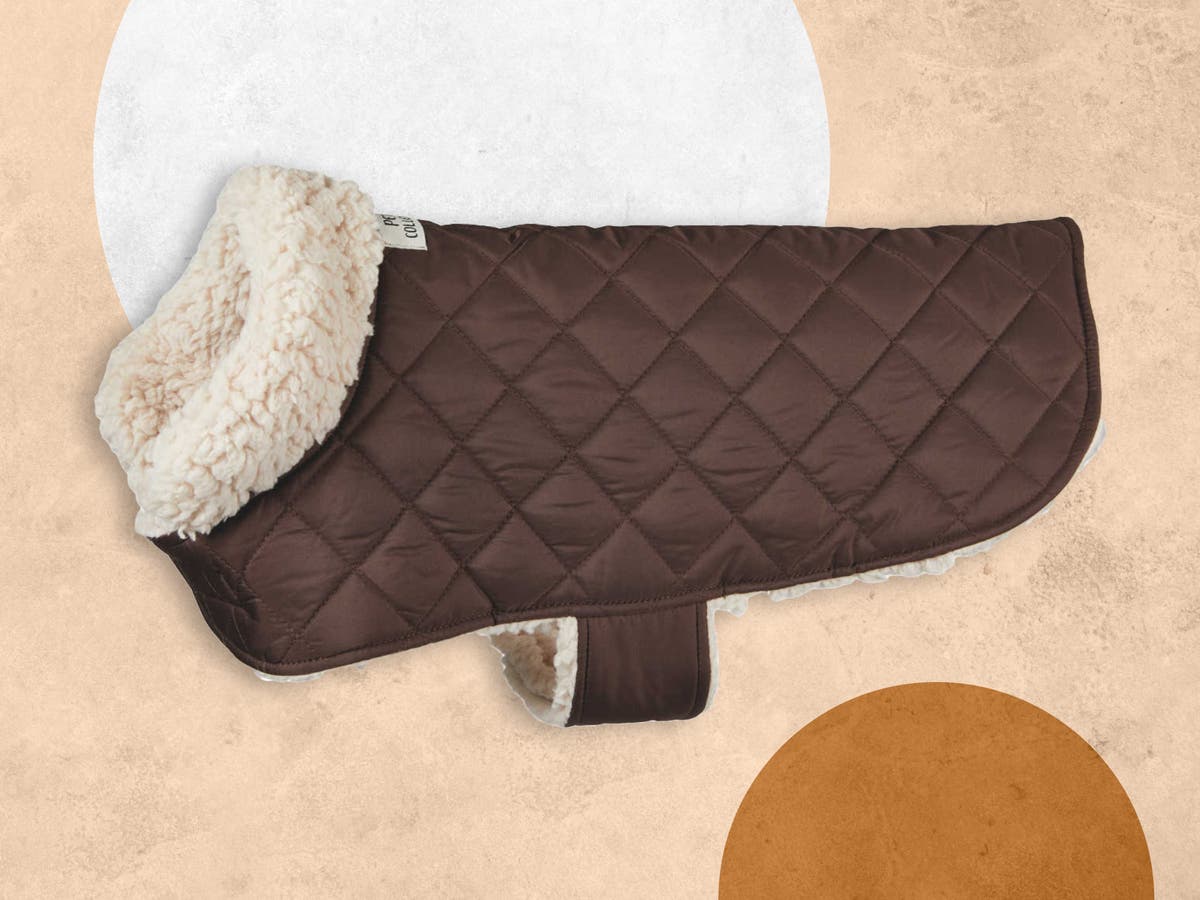 Aldi dog coat 2022 Keep your pet cosy with the £6.99 fleece The Independent